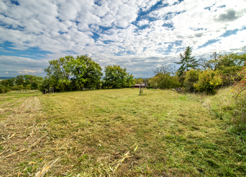 Prodej pozemku 2482 m², Bačalky