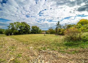 Prodej pozemku 2482 m², Bačalky