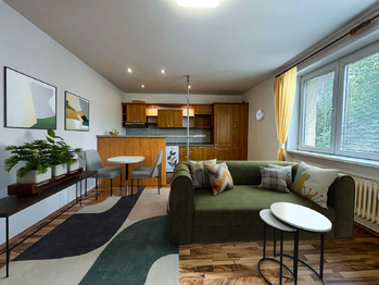 Obývací pokoj - Vizualizace - Pronájem bytu 2+kk v osobním vlastnictví 50 m², Benešov