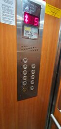 Pronájem bytu 2+1 v osobním vlastnictví 59 m², Litoměřice