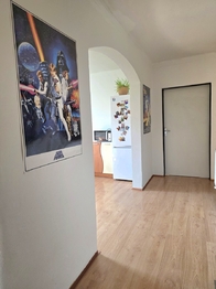 Prodej bytu 1+1 v osobním vlastnictví 64 m², Nové Heřminovy