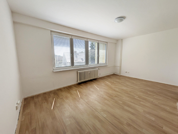 Pronájem bytu 1+kk v družstevním vlastnictví 28 m², Havířov