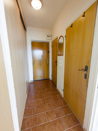 Pronájem bytu 1+kk v družstevním vlastnictví 28 m², Havířov