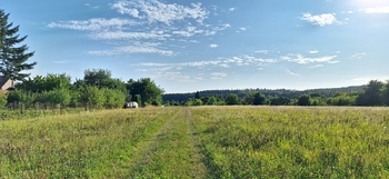 Prodej pozemku 2222 m², Podomí