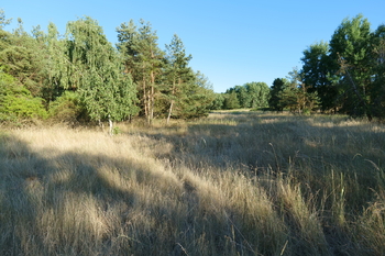 Lokalita u šachty - Prodej pozemku 186236 m², Rybníky