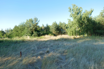 Lokalita u šachty - Prodej pozemku 186236 m², Rybníky