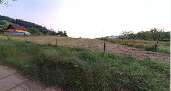 Prodej pozemku 17368 m², Halenkov