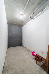 Prodej bytu 1+kk v osobním vlastnictví 38 m², Brno