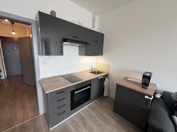 Pronájem bytu 1+kk v osobním vlastnictví 42 m², Chýně