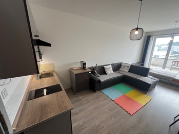 Pronájem bytu 1+kk v osobním vlastnictví 42 m², Chýně