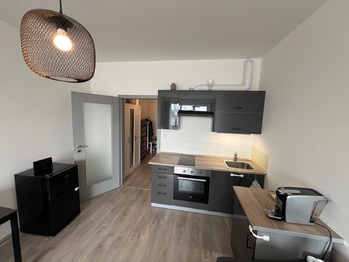 Pronájem bytu 1+kk v osobním vlastnictví 42 m², Chýně