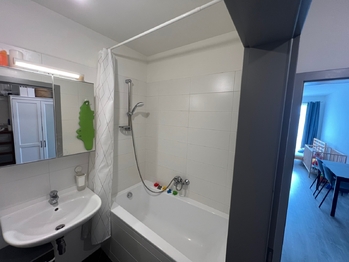 Pronájem bytu 1+kk v osobním vlastnictví 42 m², Chýně