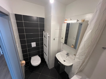 Pronájem bytu 1+kk v osobním vlastnictví 42 m², Chýně