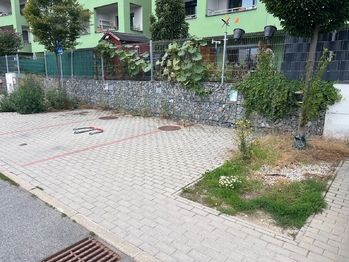Pronájem bytu 1+kk v osobním vlastnictví 42 m², Chýně