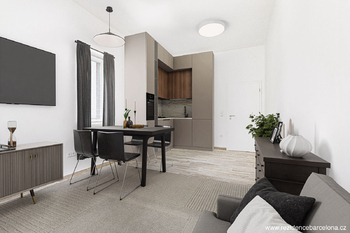 Prodej bytu 1+1 v osobním vlastnictví 47 m², Frýdek-Místek