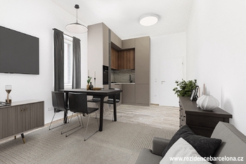 Prodej bytu 1+kk v osobním vlastnictví 33 m², Frýdek-Místek