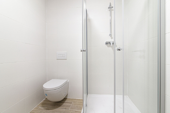 Prodej bytu 1+kk v osobním vlastnictví 33 m², Frýdek-Místek