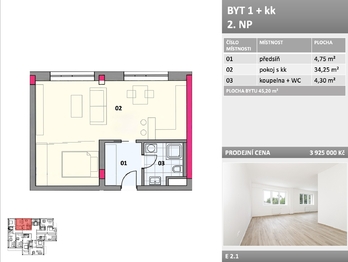 Prodej bytu 1+kk v osobním vlastnictví 45 m², Frýdek-Místek