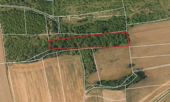 Prodej pozemku 14213 m², Slaný