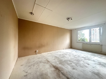 Prodej bytu 1+1 v osobním vlastnictví 41 m², Plzeň