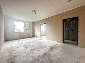 Prodej bytu 1+1 v osobním vlastnictví 41 m², Plzeň