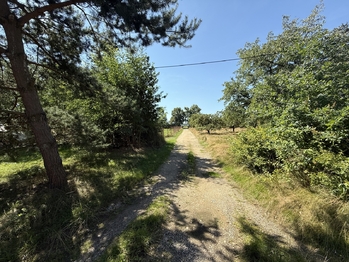 Prodej pozemku 9533 m², Druztová