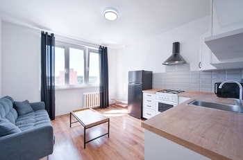 Pronájem bytu 1+1 v osobním vlastnictví 38 m², Aš