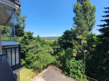 Prodej bytu 3+1 v družstevním vlastnictví 86 m², Brno