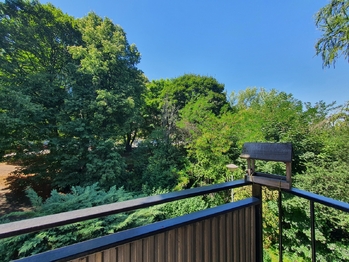 Prodej bytu 3+1 v družstevním vlastnictví 86 m², Brno