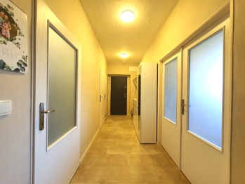 Prodej bytu 3+1 v družstevním vlastnictví 86 m², Brno