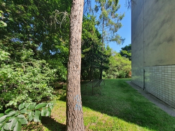 Prodej bytu 3+1 v družstevním vlastnictví 86 m², Brno