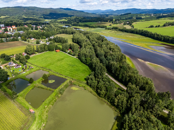Prodej pozemku 16305 m², Nová Pec