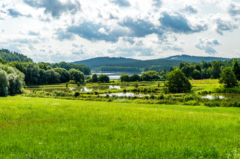 Prodej pozemku 16305 m², Nová Pec