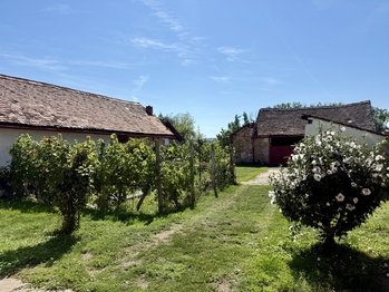 Prodej domu 98 m², Jevišovka
