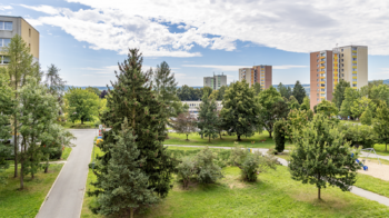 Pronájem bytu 2+1 v osobním vlastnictví 62 m², Česká Lípa