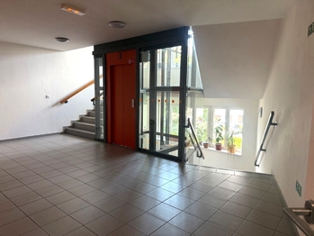 Pronájem bytu 3+kk v osobním vlastnictví 85 m², Brno