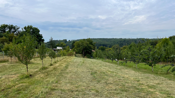 Prodej chaty / chalupy 68 m², Radostice