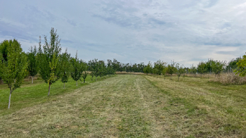 Prodej chaty / chalupy 68 m², Radostice