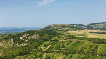 Prodej pozemku 961 m², Mikulov