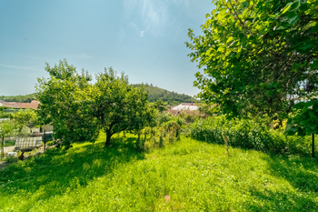 Prodej domu 369 m², Mikulov