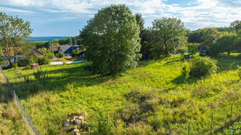 Prodej pozemku 2594 m², Bačalky