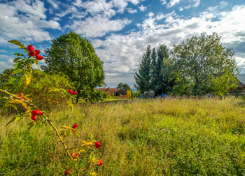 Prodej pozemku 2594 m², Bačalky
