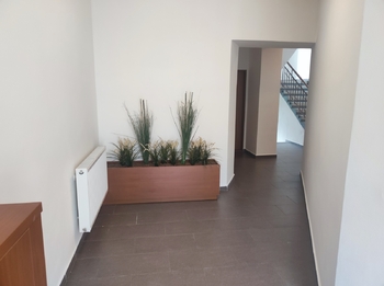 Pronájem bytu 2+kk v osobním vlastnictví 42 m², Pardubice
