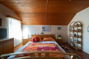 Prodej domu 280 m², Dolní Morava