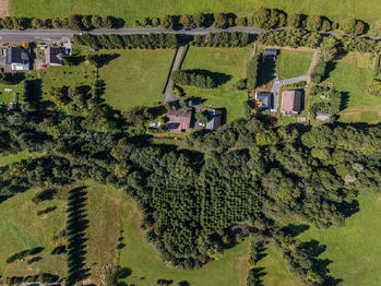 Prodej domu 280 m², Dolní Morava