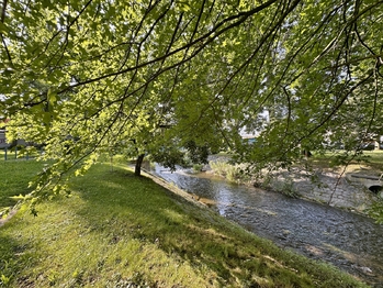 Prodej bytu 1+1 v osobním vlastnictví 65 m², České Budějovice