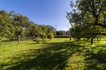 Prodej pozemku 1015 m², Olšany