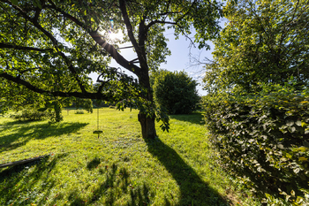 Prodej pozemku 1015 m², Olšany