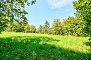 Prodej pozemku 8204 m², Přídolí