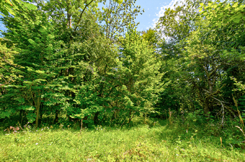 Prodej pozemku 20759 m², Přídolí